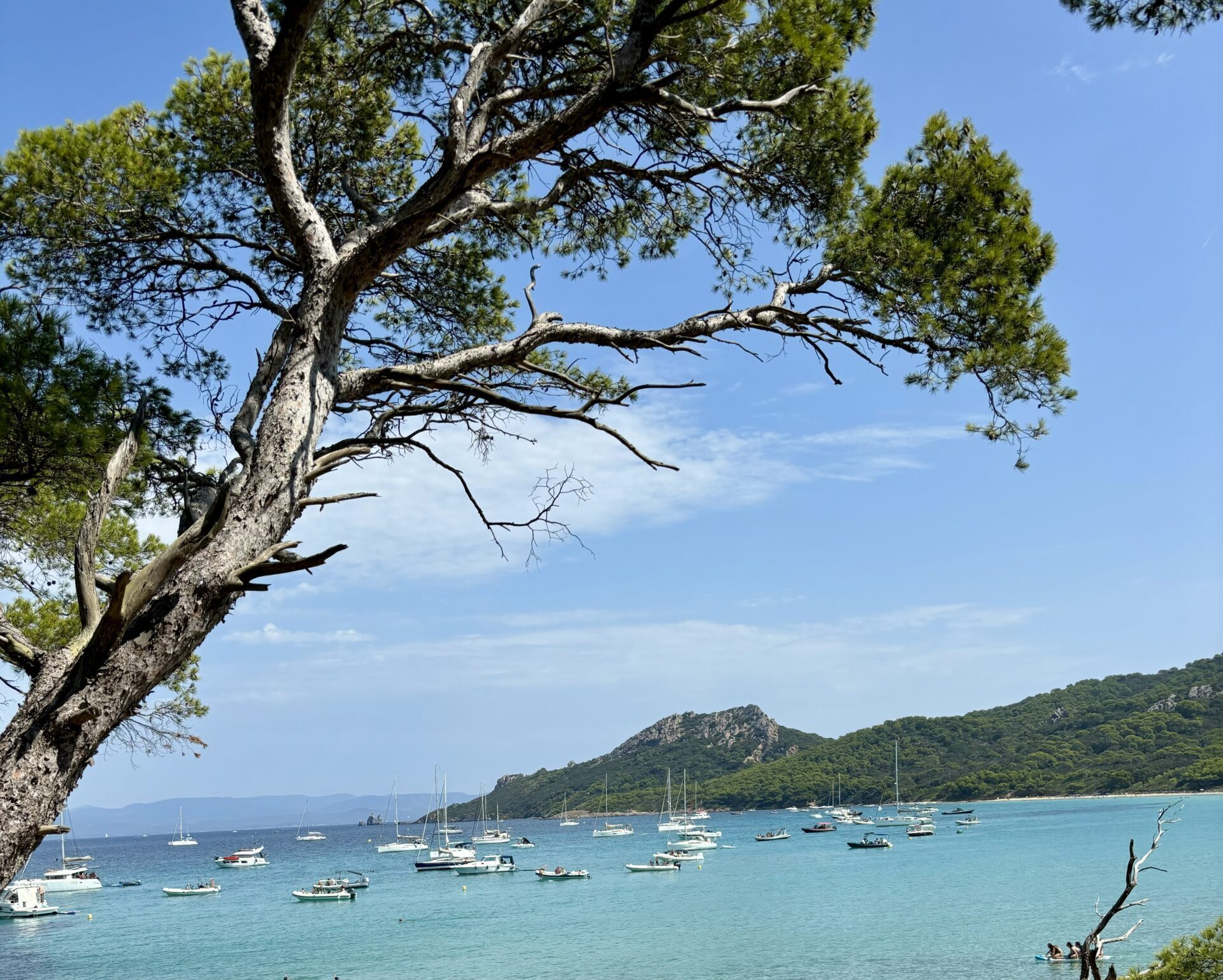 Les Porquerolles